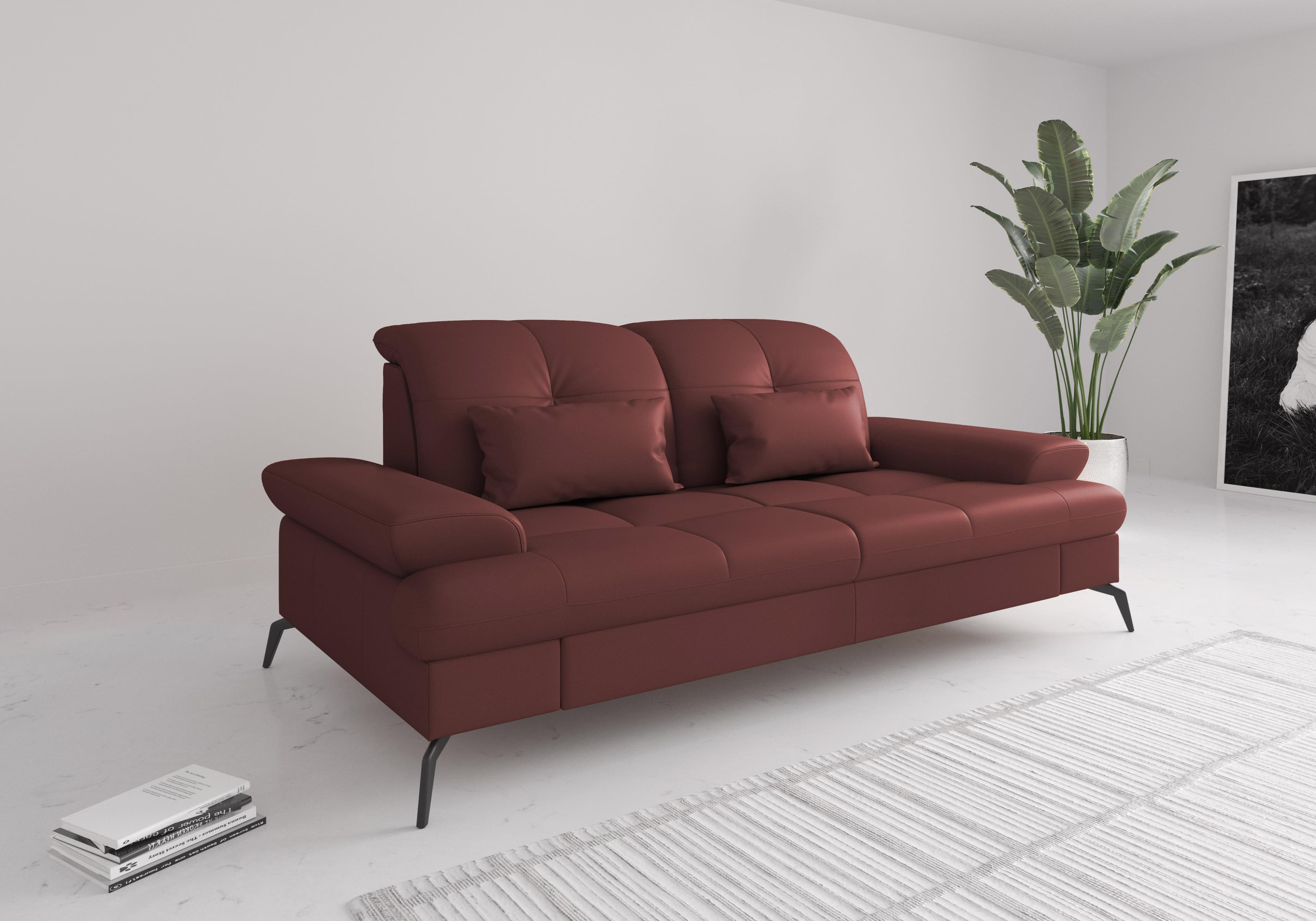SIT & MORE Sofa Amica 2,5-Sitzer mit Verstellung und Bettfunktion
