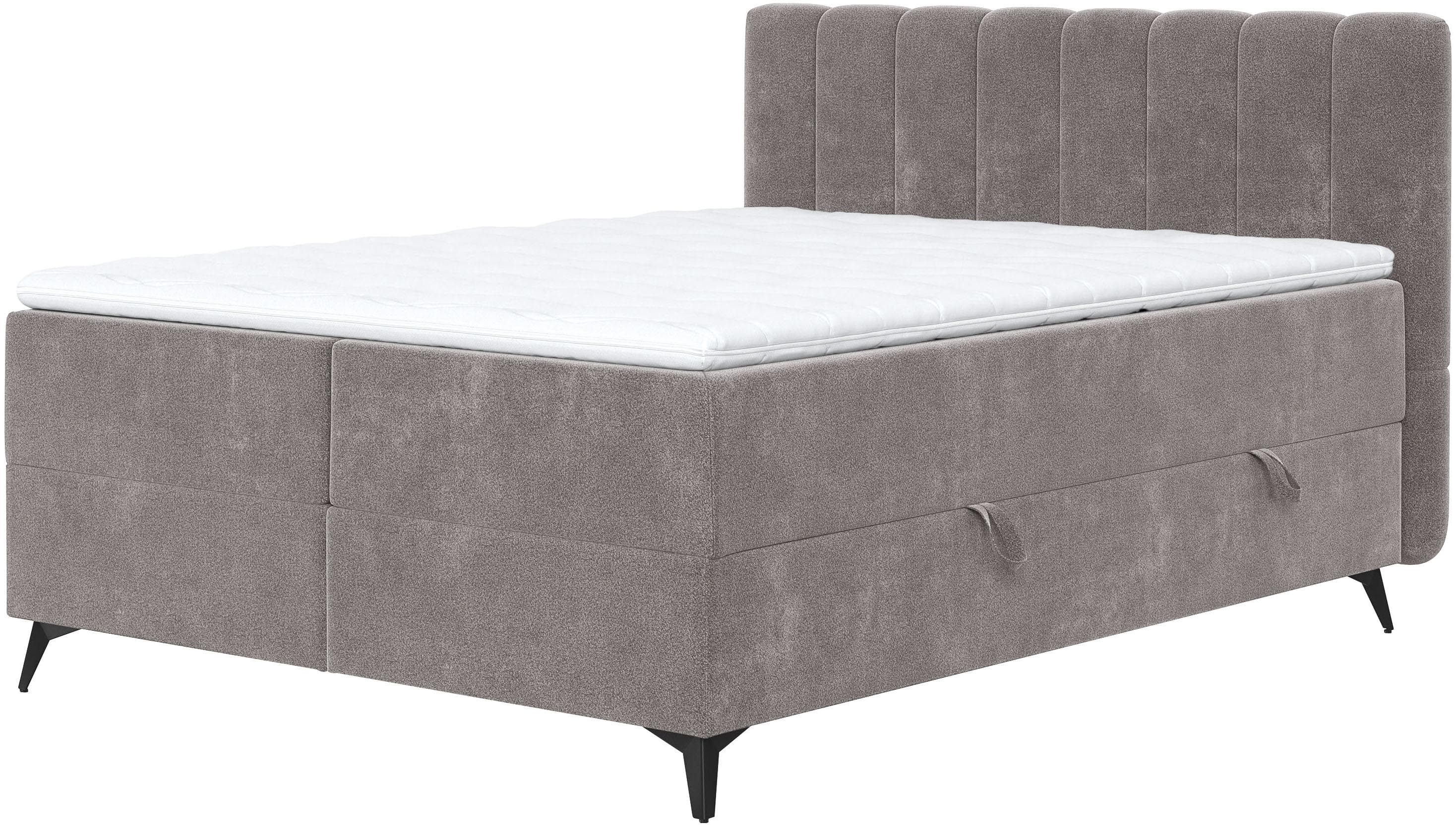 Boxbett COTTA Vicky inkl. Bettkasten Grau Taschen-Federkernmatratze
