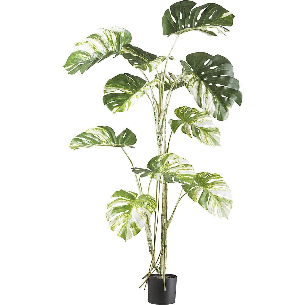 Kaiserkraft Künstliche Monstera deliciosa Grün mit Topf
