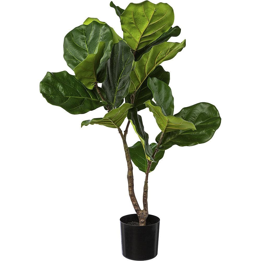 Kaiserkraft Künstliche Pflanze Ficus lyrata Grün mit Schwarzem Topf