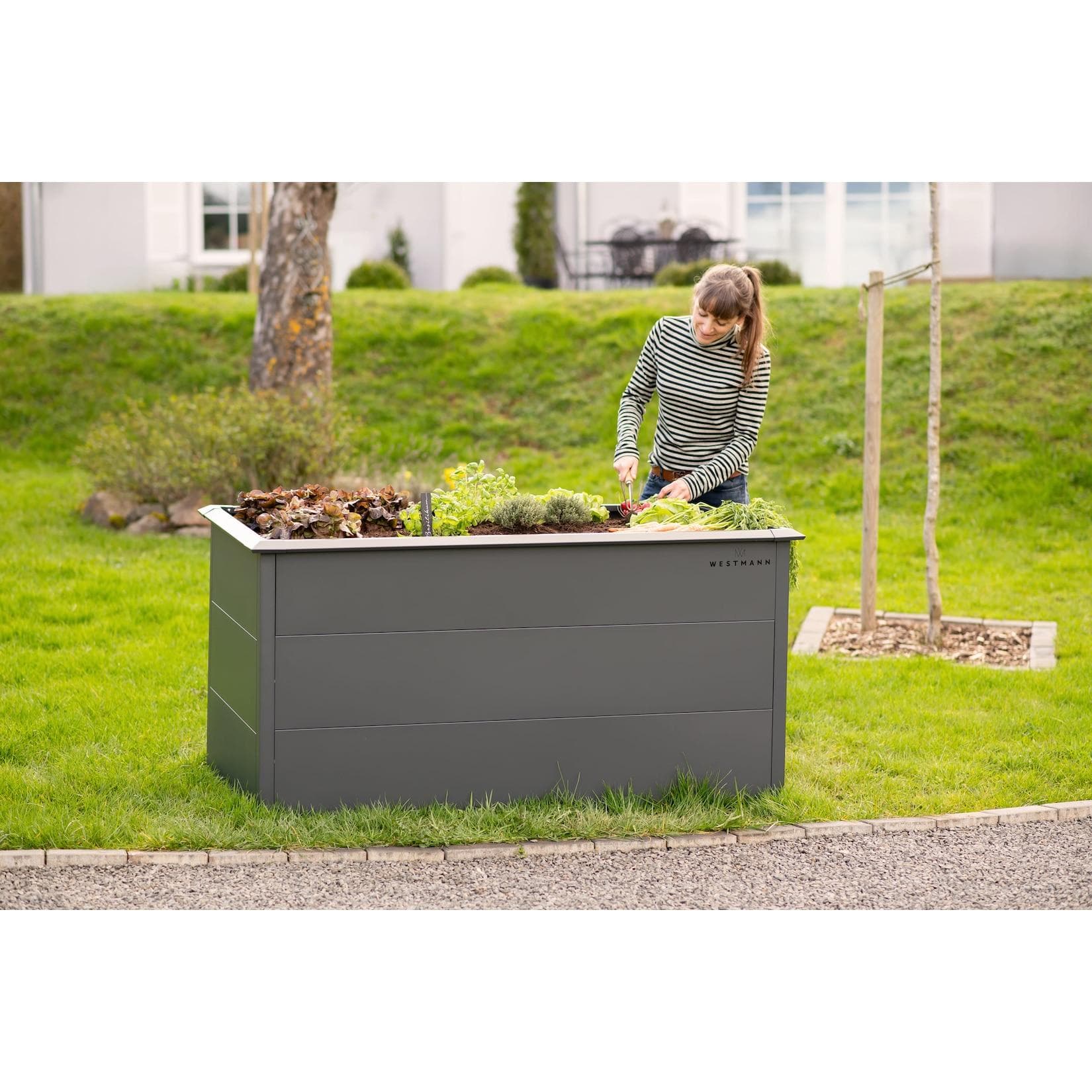 Westmann Hochbeet Primus L Anthrazit