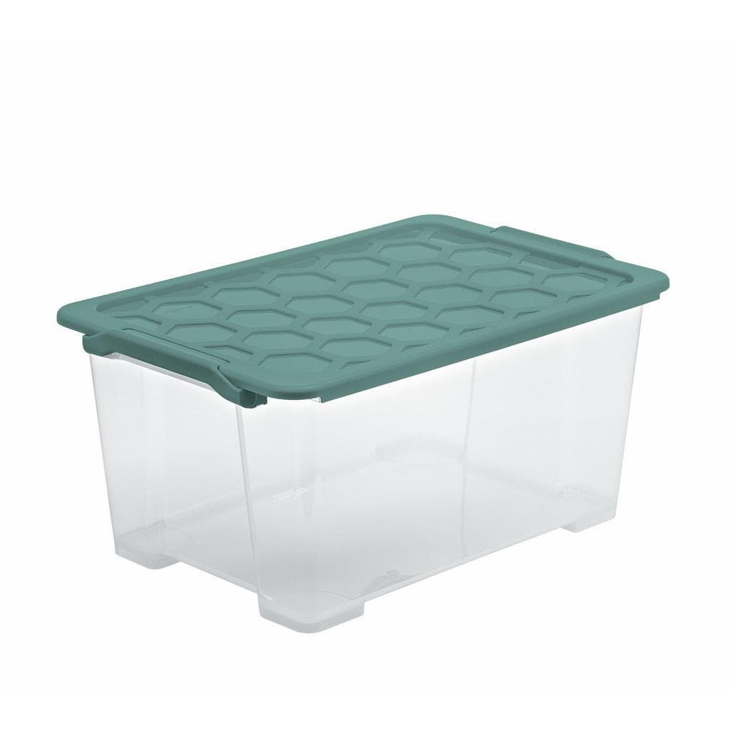 ROTHO Aufbewahrungsbox EVO Safe inkl. Deckel - Transparent/Mistletoe Grün