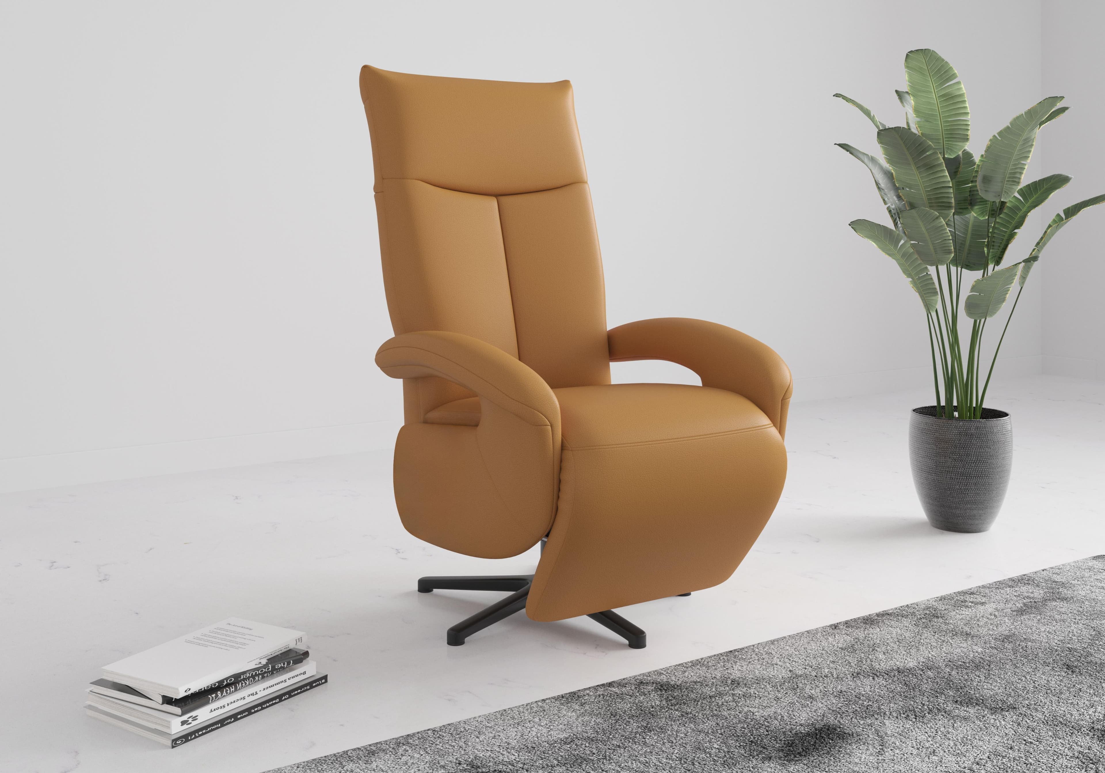 SIT & MORE TV-Sessel Amica Curry mit Kopfteilverstellung & Drehfunktion