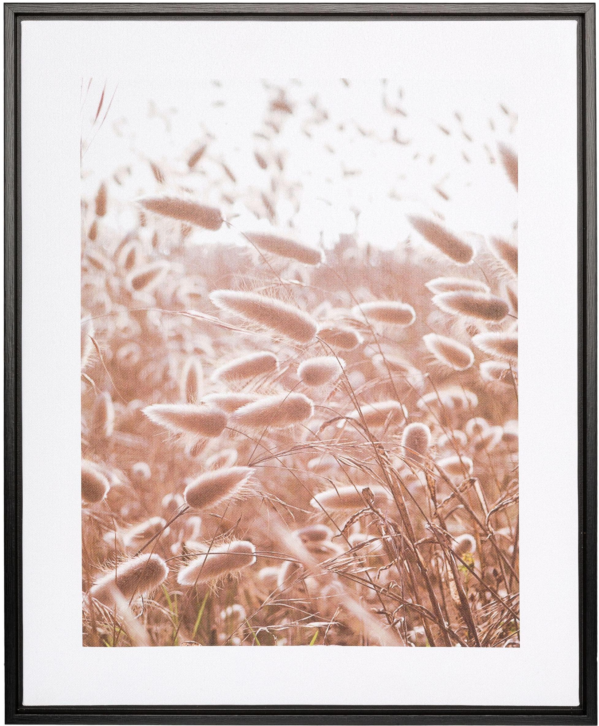 Canvas Bild Grasblüten Bunt Schwarz