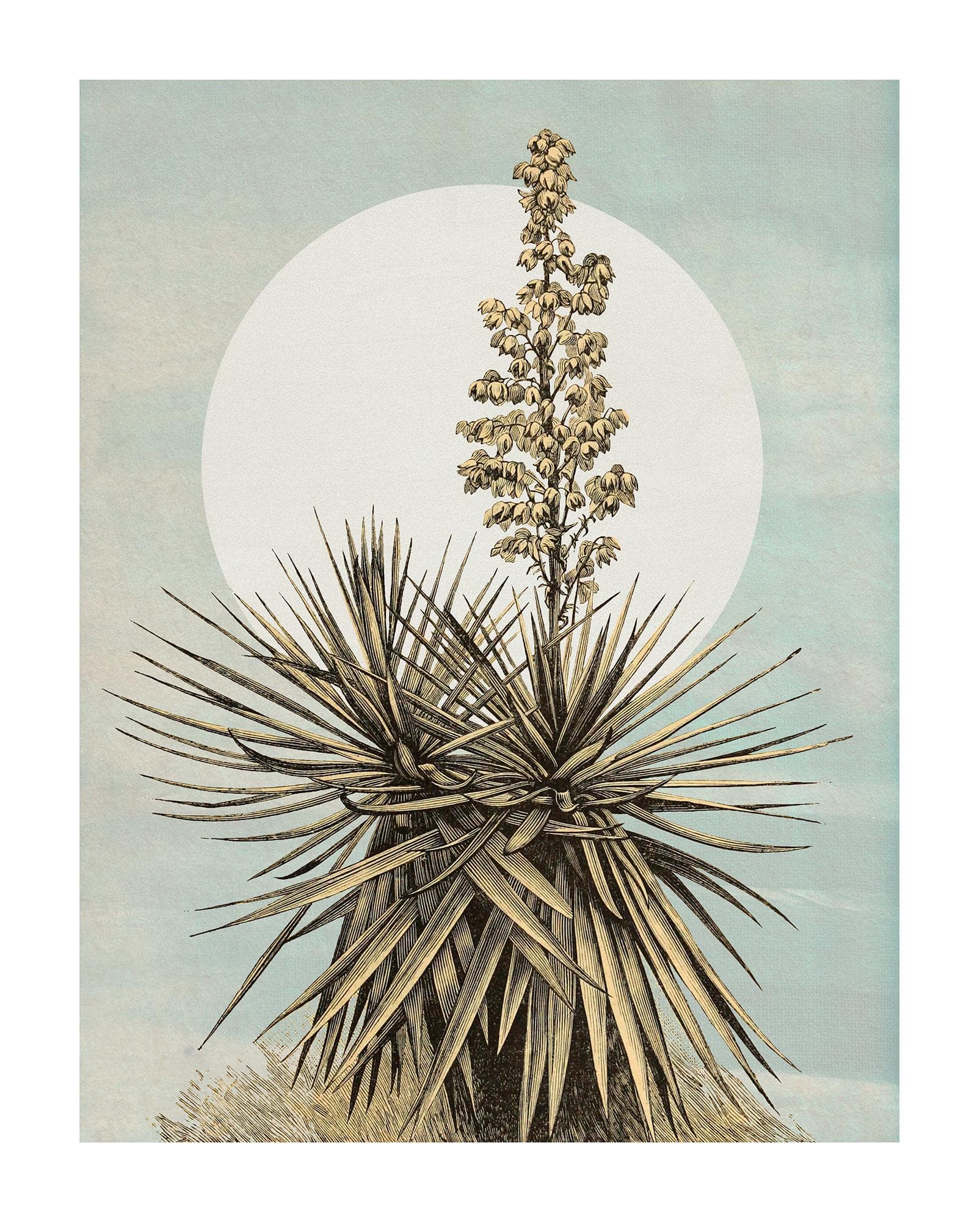 Komar Wandbild "Plans de Lagon" Bunt Naturmotiv