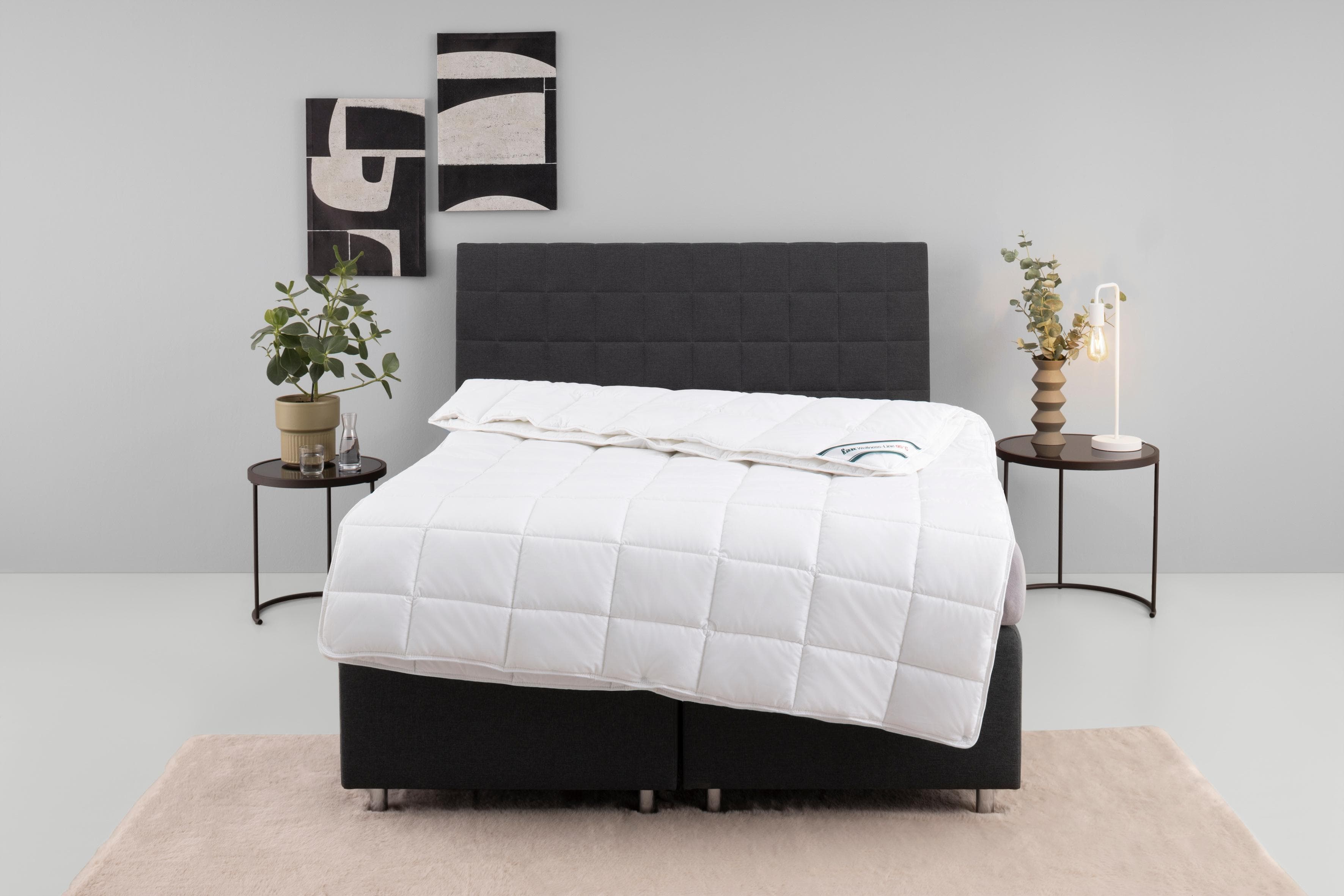 f.a.n. Kunstfaserbettdecke Wellness Line: Kochfest & Baumwollbezug