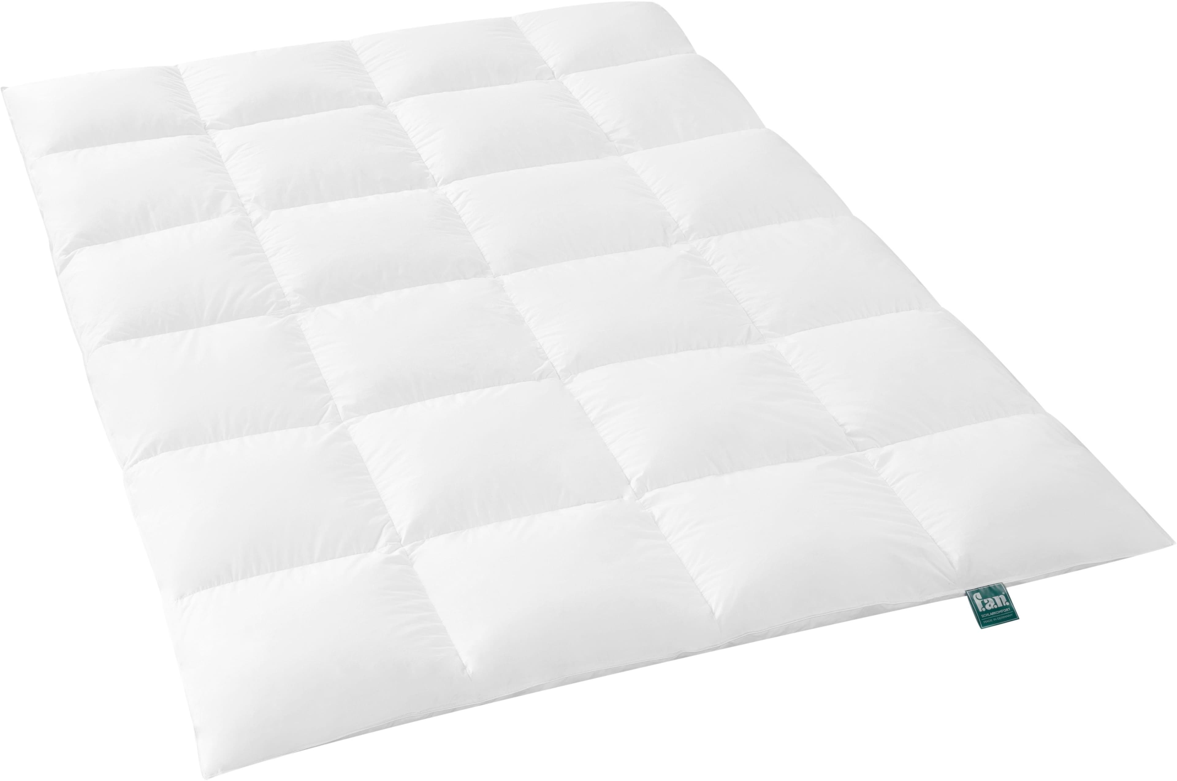 f.a.n. Daunenbettdecke Alaska Biobasiert - Luxus Gänsedaunen & Baumwoll-Batist