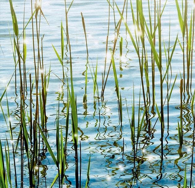 Küchenrückwand Express Küchen Seegras Bunt