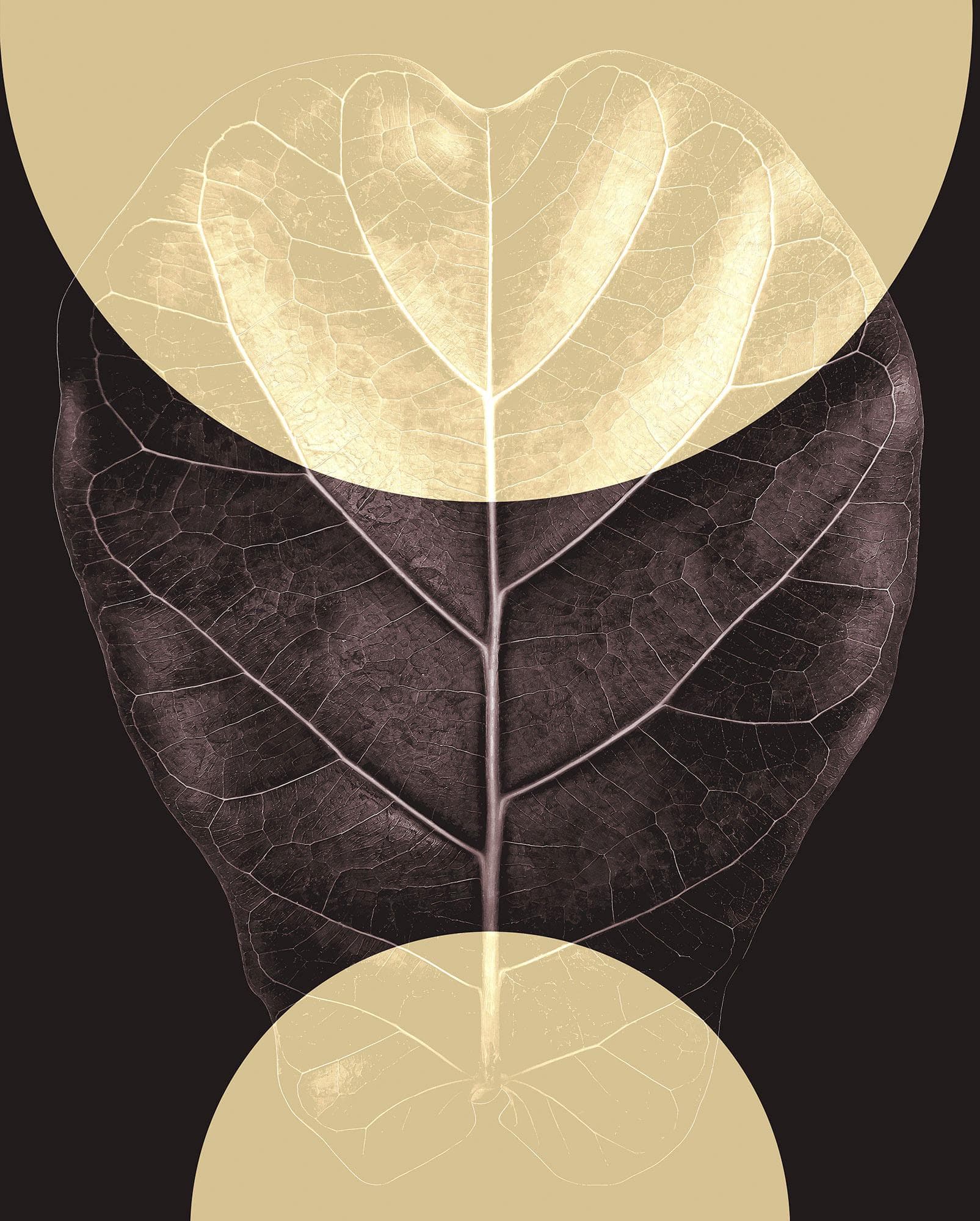 Bild KOMAR "Shadow Theatre" Braun Natur Wandbild