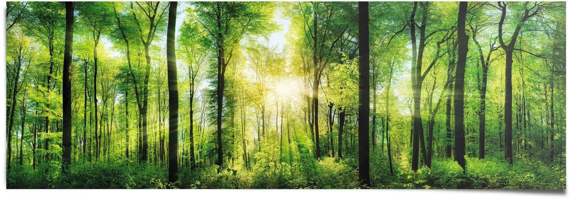 Reinders Poster Sommerwald Grün Panorama 158x53cm
