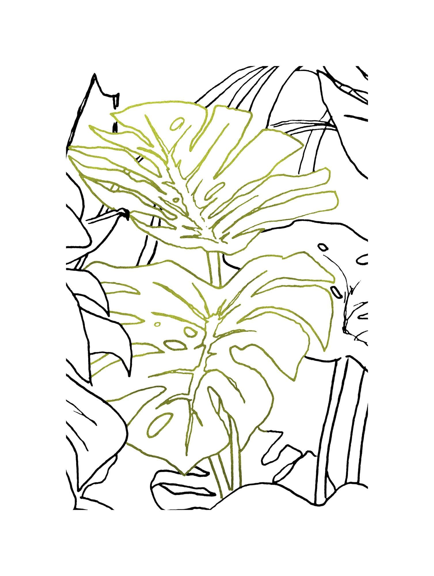 Komar Monstera Borsigiana Wandbild Grün