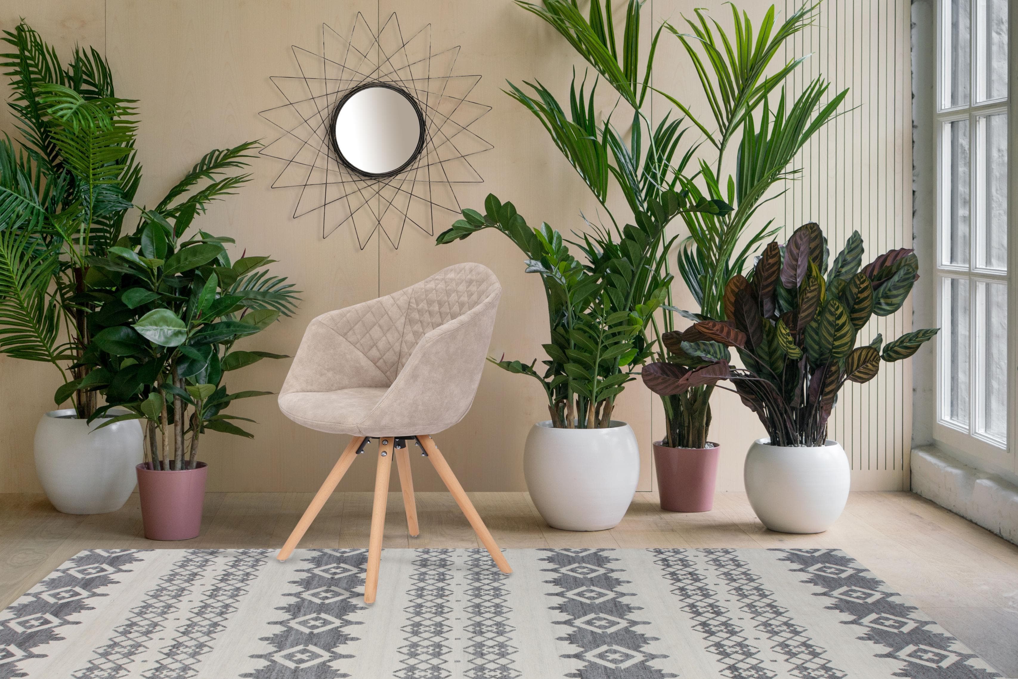 Polsterstuhl KAYOOM Chadwick 110 2er-Set, beige, weich gepolstert