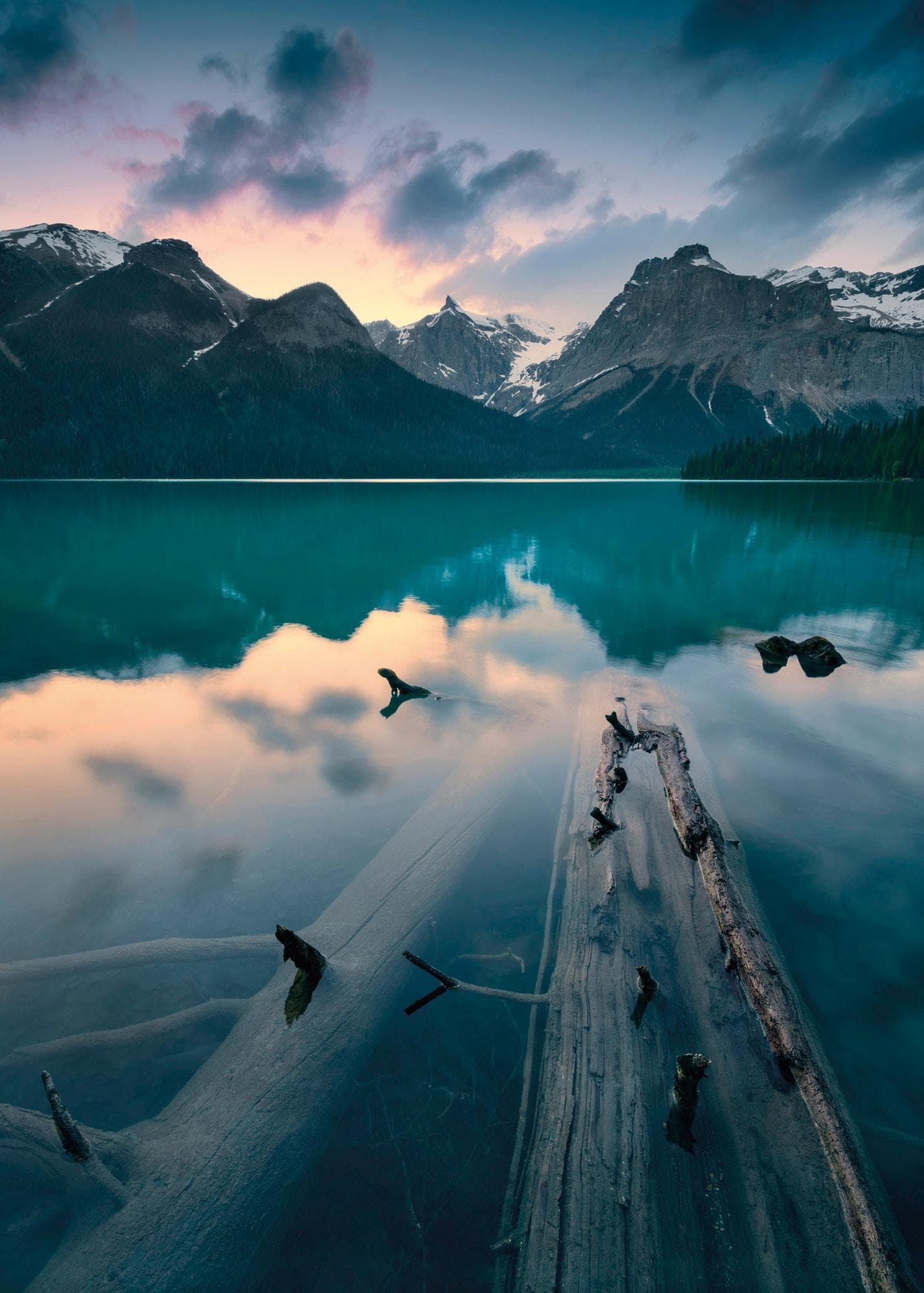 Vliestapete KOMAR Digitaldruck Vlies Burning Emerald 200x280 cm