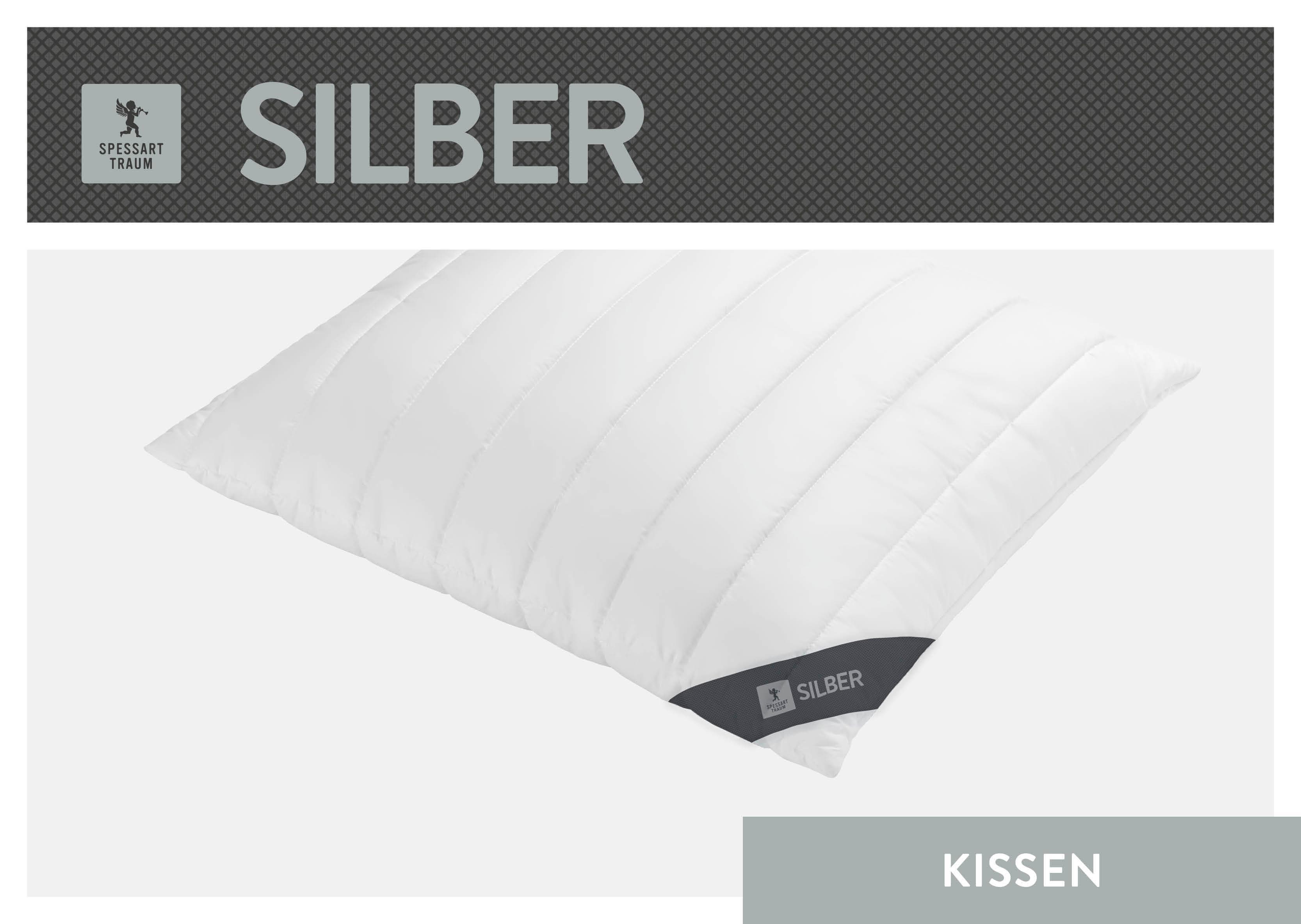 Baumwollkissen SPESSARTTRAUM Silber 80x80 cm