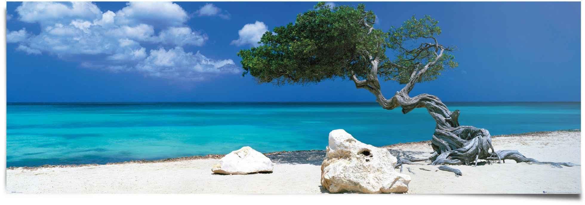 Poster REINDERS Tom Mackie divi divi Baum Blau