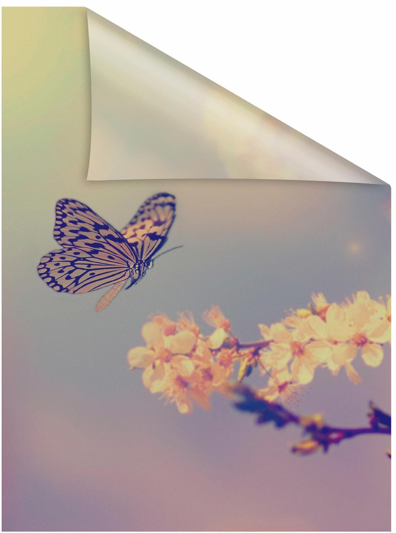 Orange Fensterfolie Schmetterling Blüte 50x100 cm