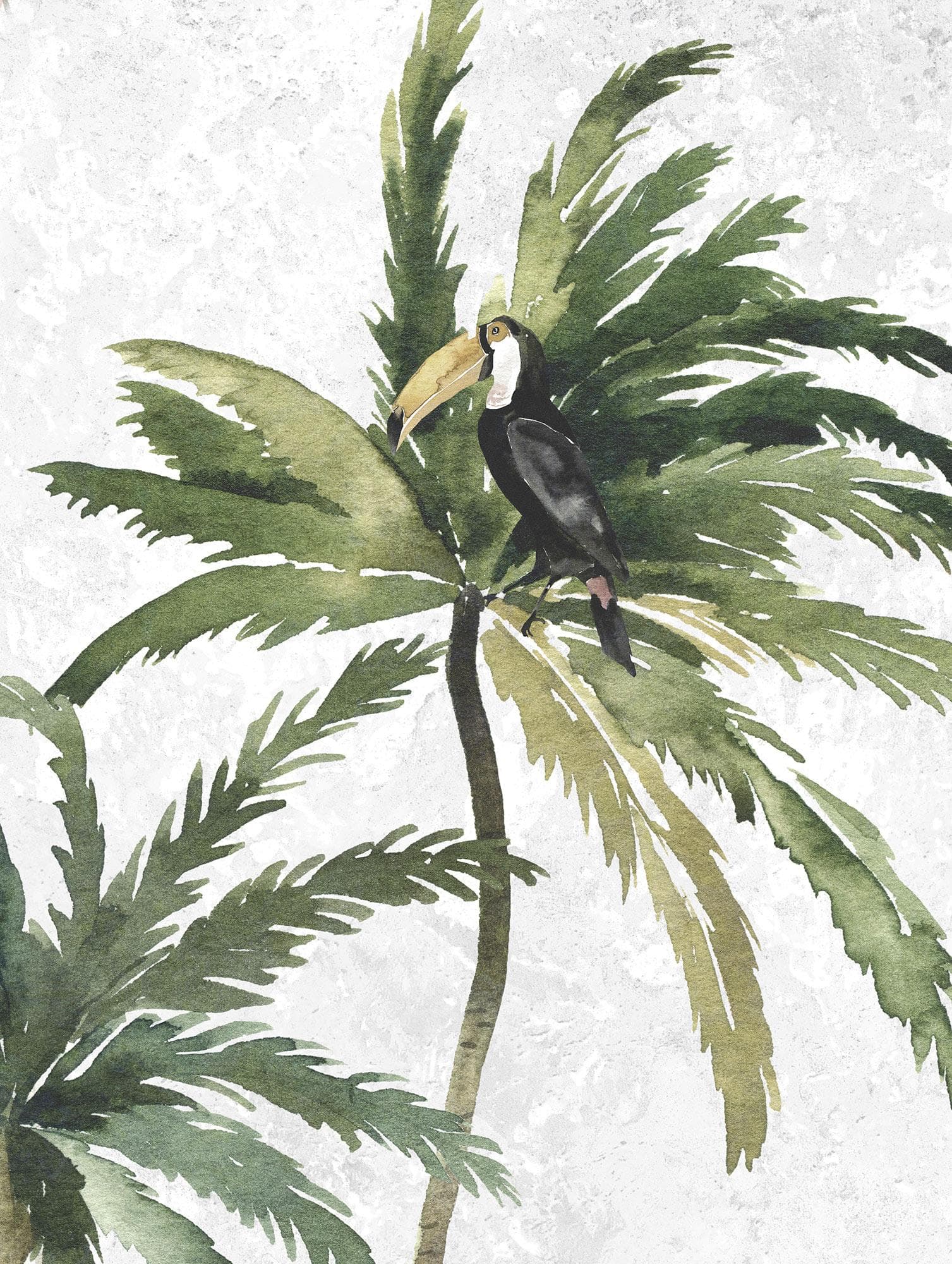 Komar Tropical Toucan Wandbild Bunt