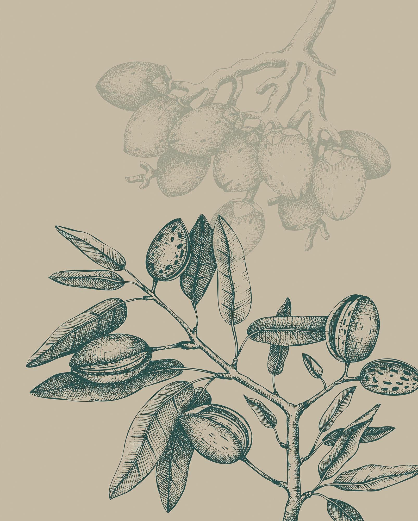 Komar Wild Mandolino Wandbild Beige Natur