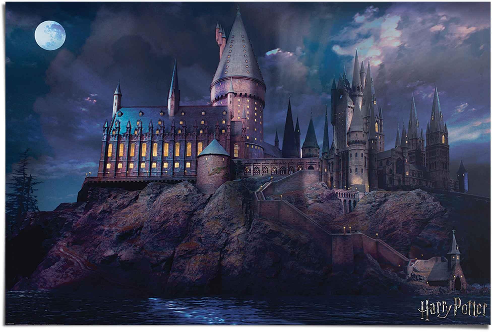 Reinders Poster Harry Potter Hogwarts Blau Maxi