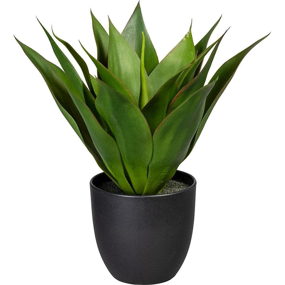 Kaiserkraft Künstliche Agave Grün im Schwarzem Topf