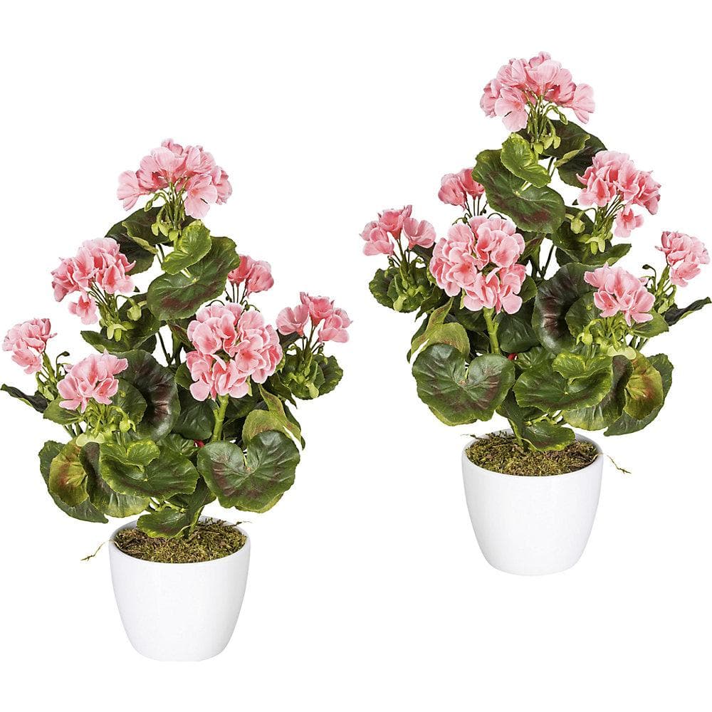 Kaiserkraft Geranienbusch UV-beständig 2er-Set Rosa mit Keramiktopf