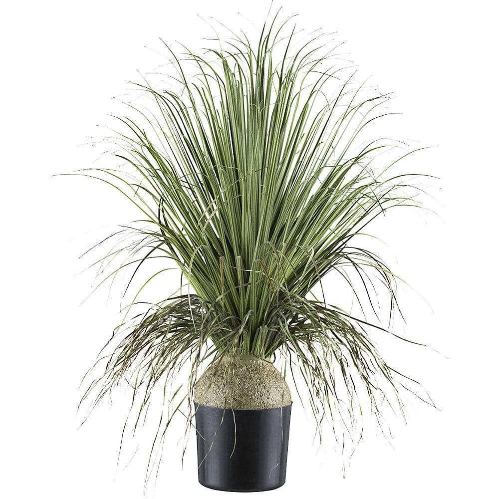 Kaiserkraft Künstliche Pflanze Beaucarnea Grün mit Schwarzem Topf