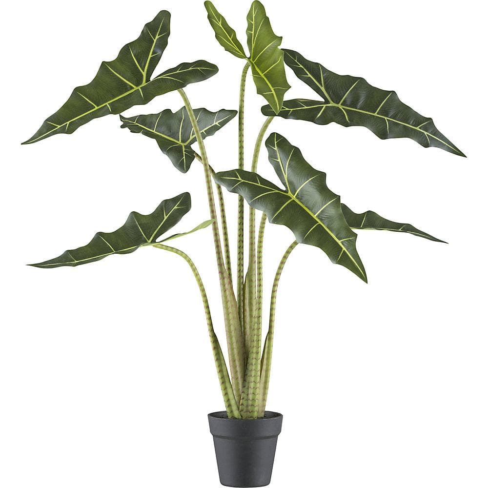 Kaiserkraft Künstliche Alocasia zebrina sarian Grün Schwarz