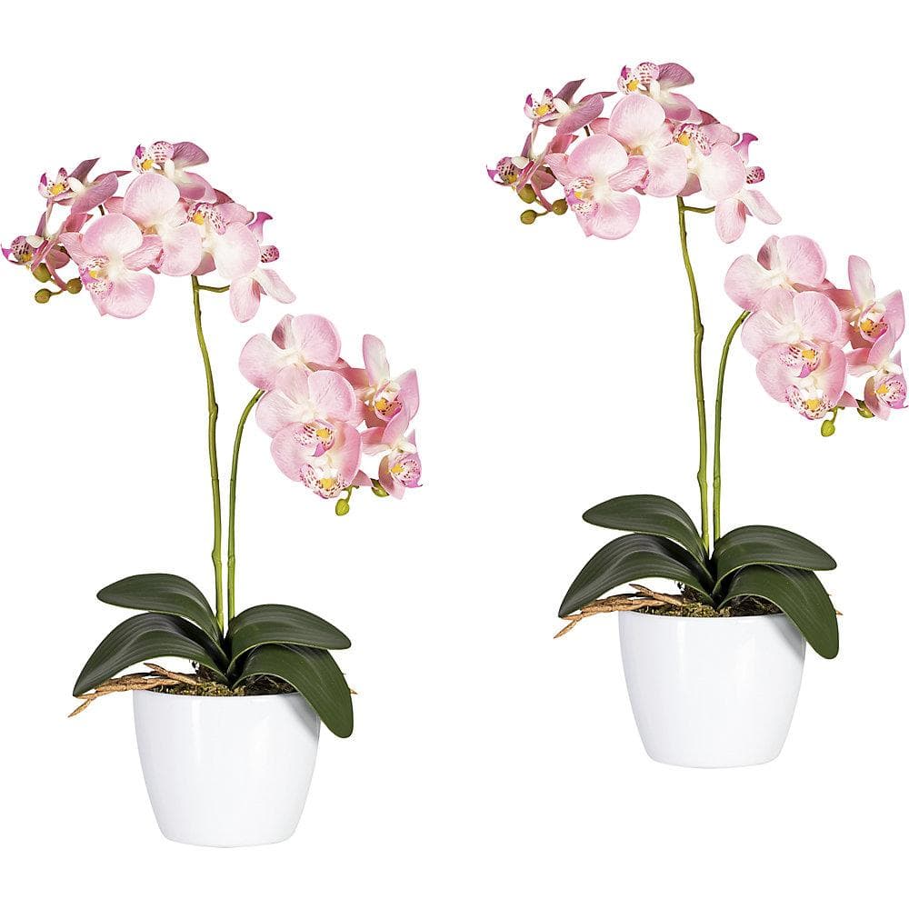Kaiserkraft Künstliche Phalaenopsis Orchidee Rosa im weißen Keramiktopf 2er-Set
