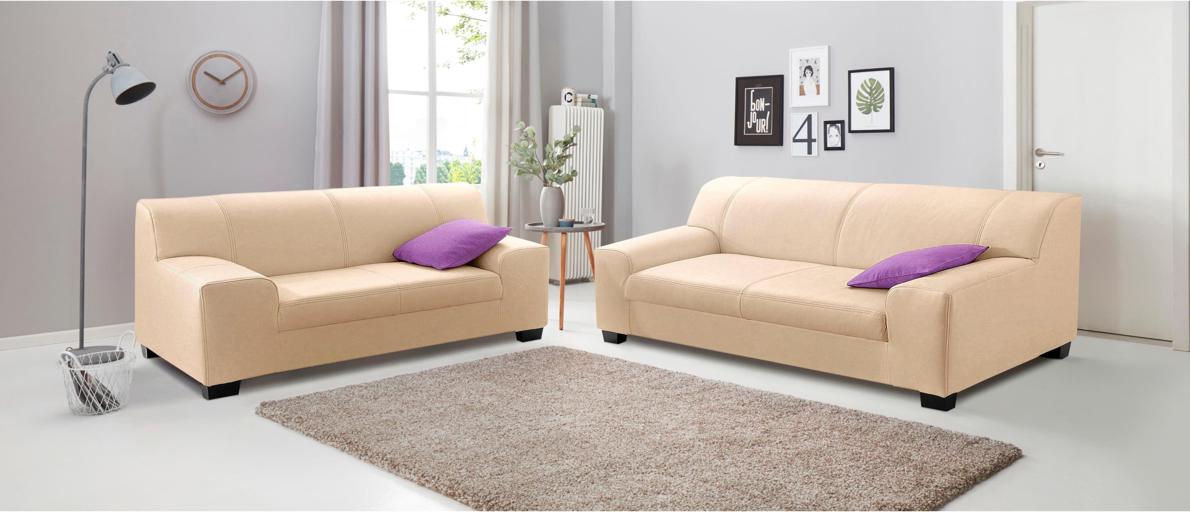 Polstergarnitur Set: 2er & 3er Sofa