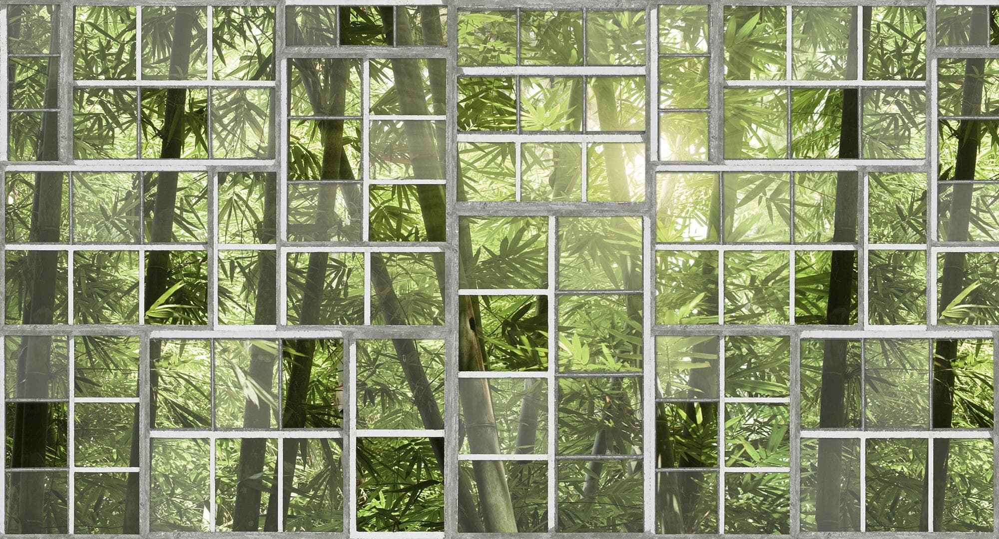 Fototapete ARCHITECTS PAPER Atelier 47 Perspective 3 Botanisch Dunkelgrün