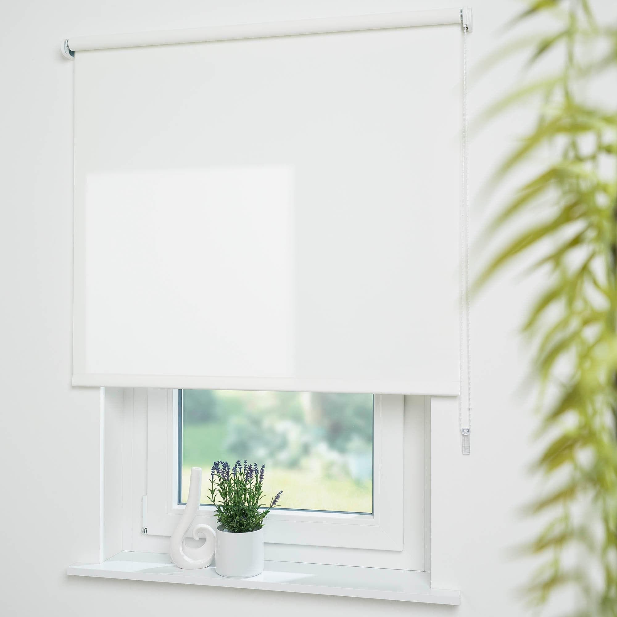 Seitenzugrollo LIEDECO "Uni" Weiß Polyester