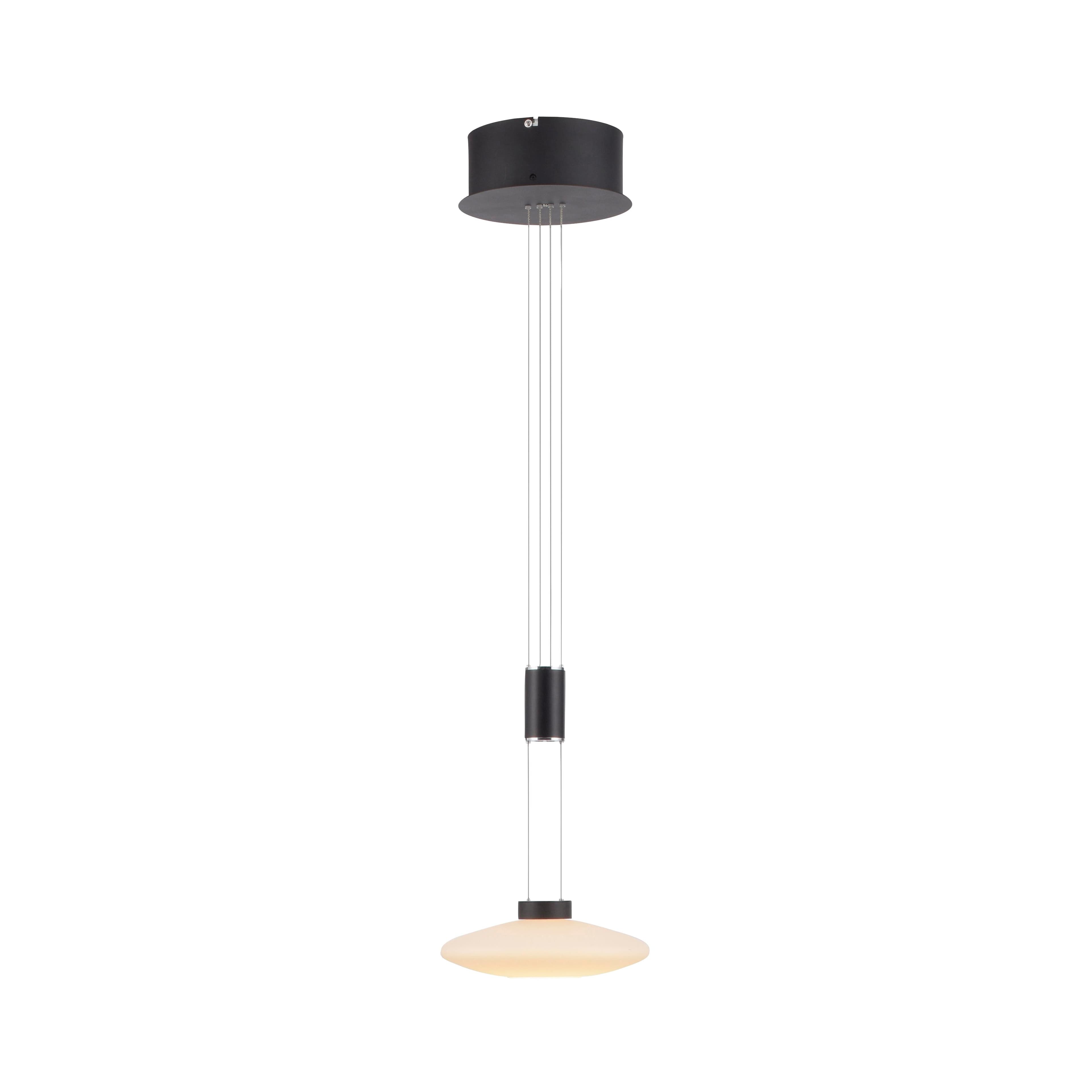 PAUL NEUHAUS Pendelleuchte LAUTADA Schwarz LED Dimmbar