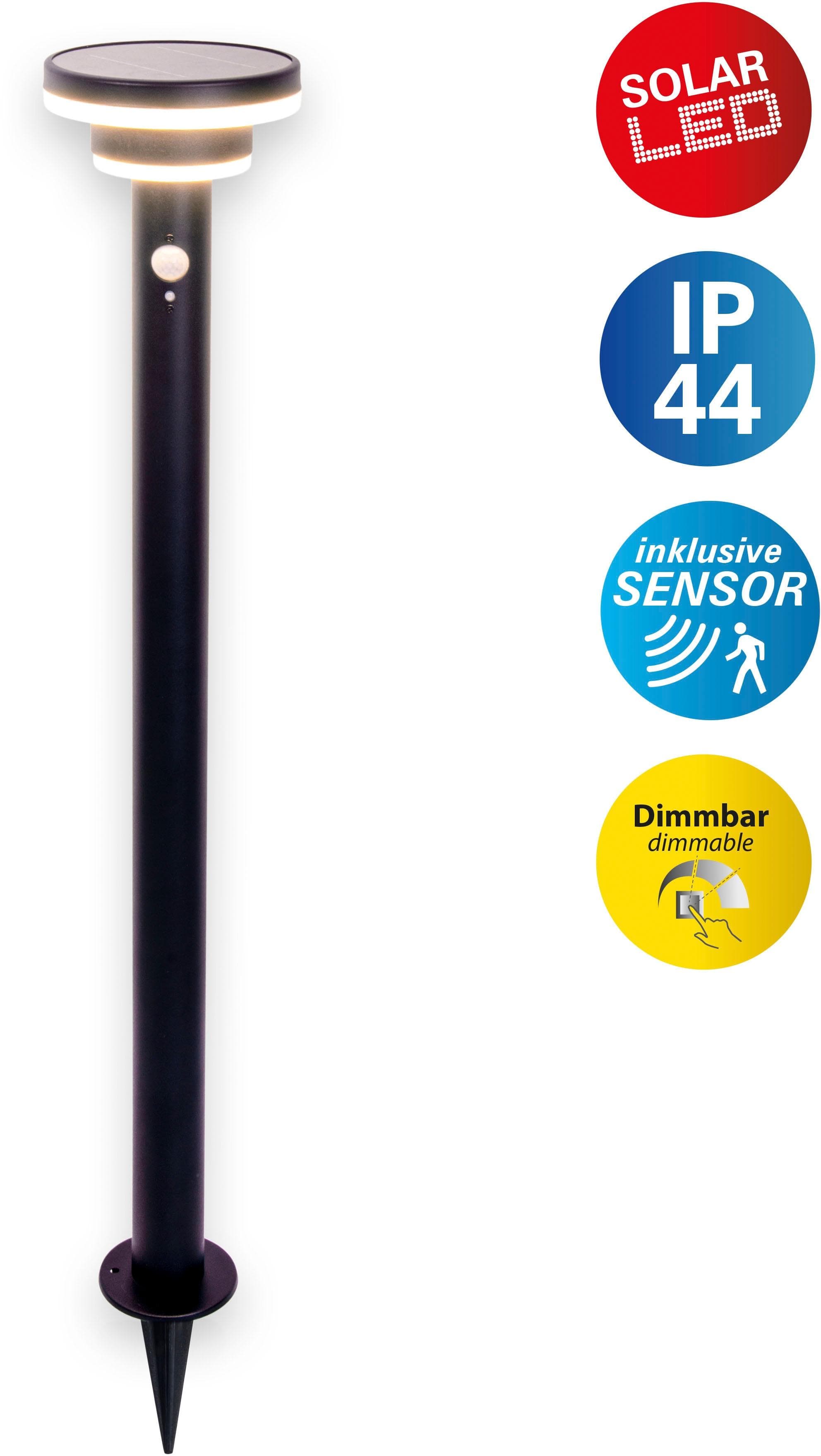 NÄVE Nora LED Solarleuchte Schwarz mit Bewegungsmelder