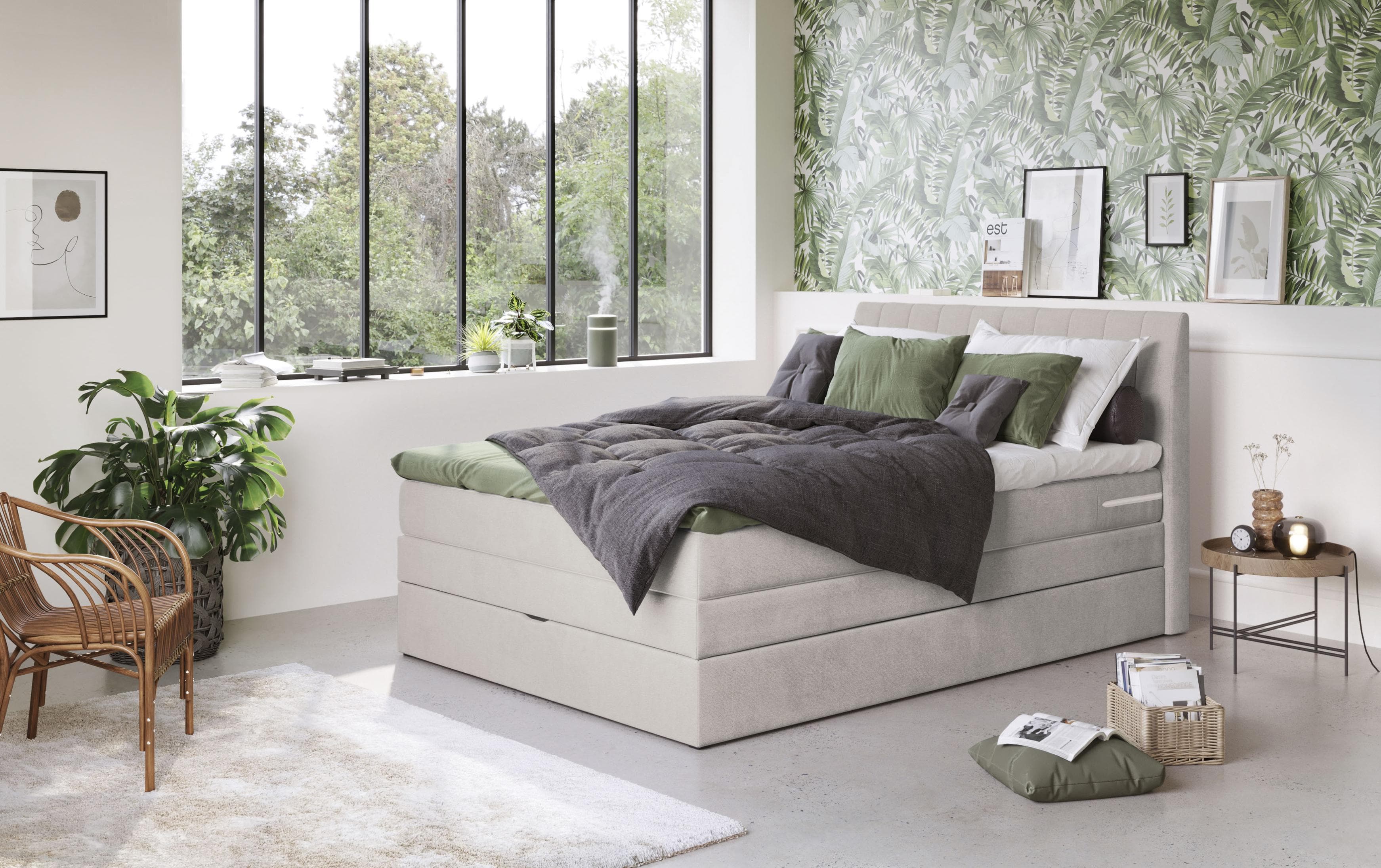 COTTA Shark Boxspringbett mit Bettkasten und Topper