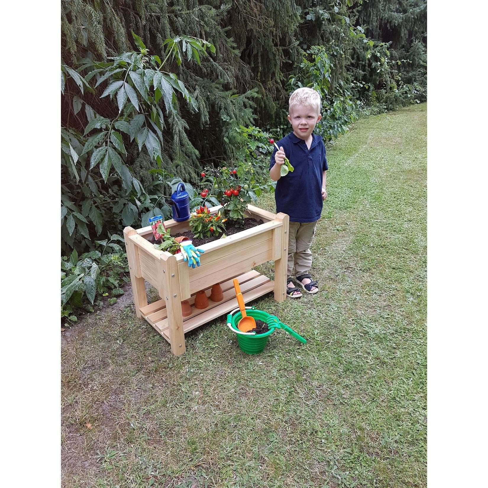 Promadino Kinder-Kräuterbeet Bruno Natur