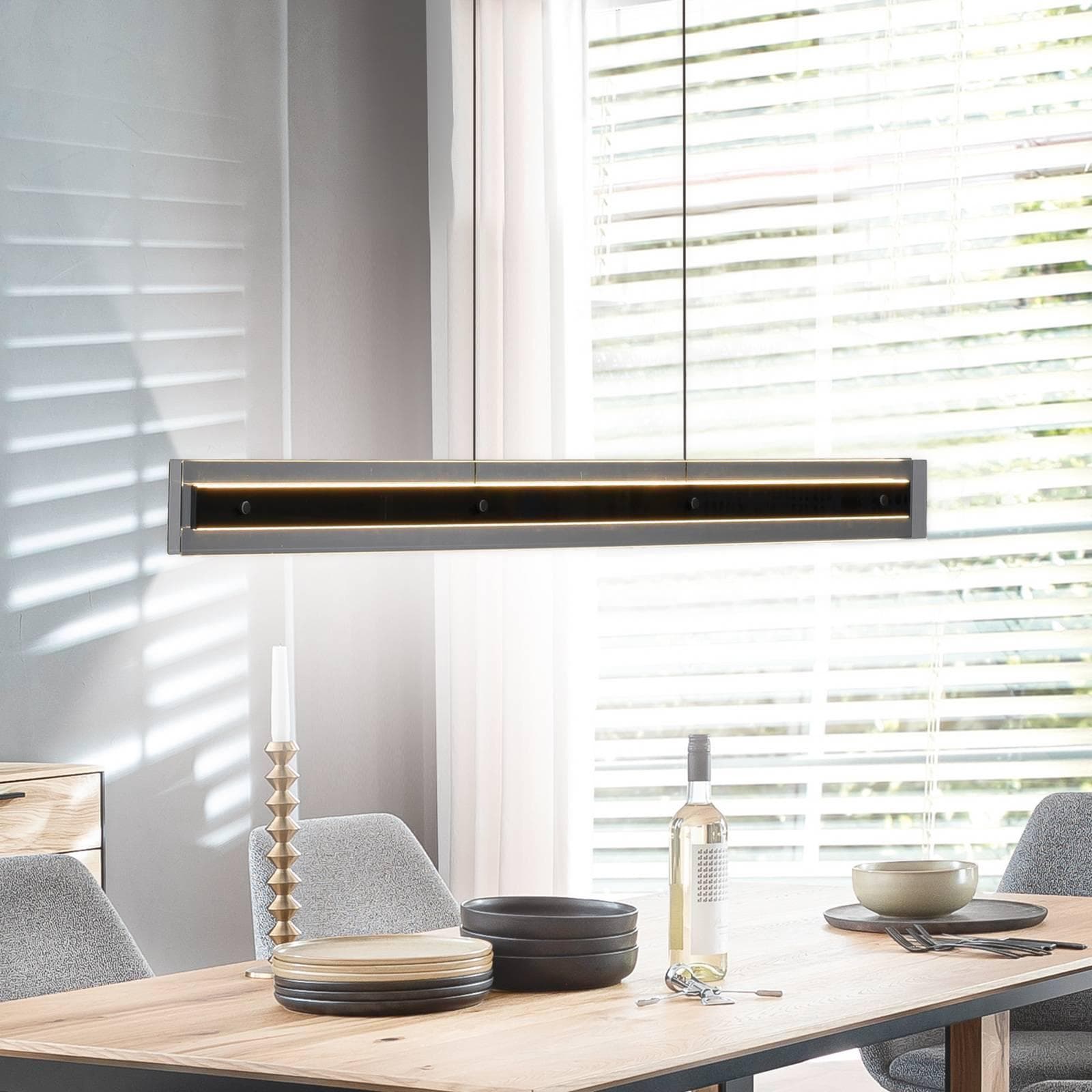 SCHÖNER WOHNEN LED-Hängelampe Lena Schwarz Dimmbar