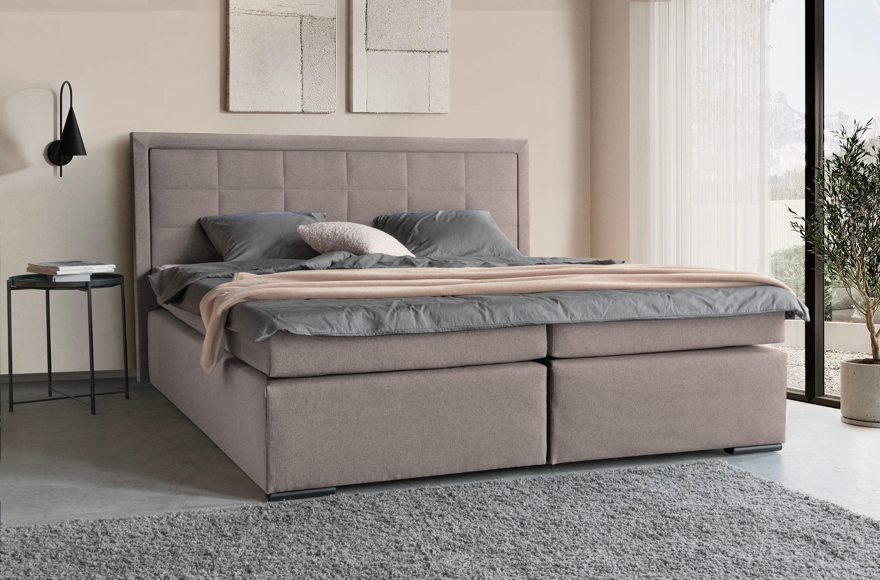 COLLECTION AB Boxspringbett 30 Jahre Jubiläums-Modell