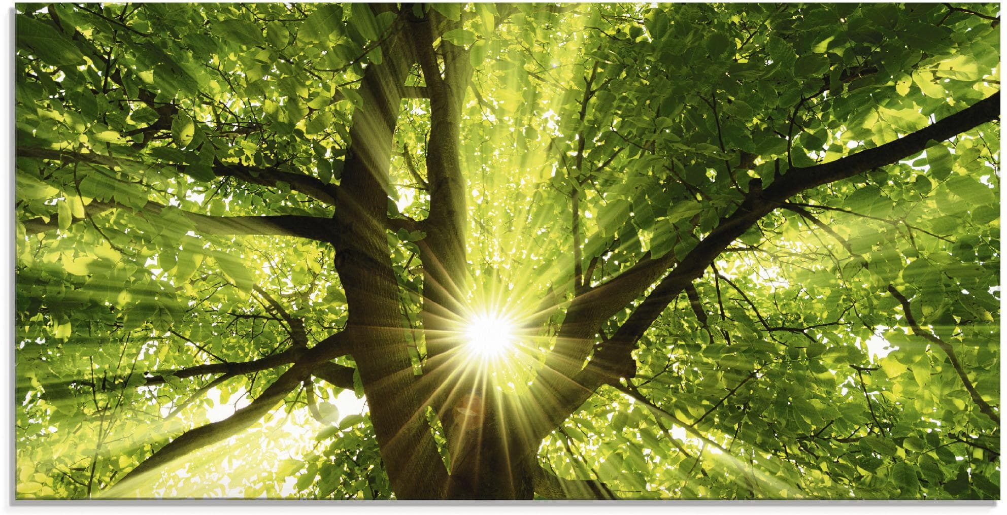 Artland Glasbild Sonne strahlt explosiv durch Grün Handarbeit