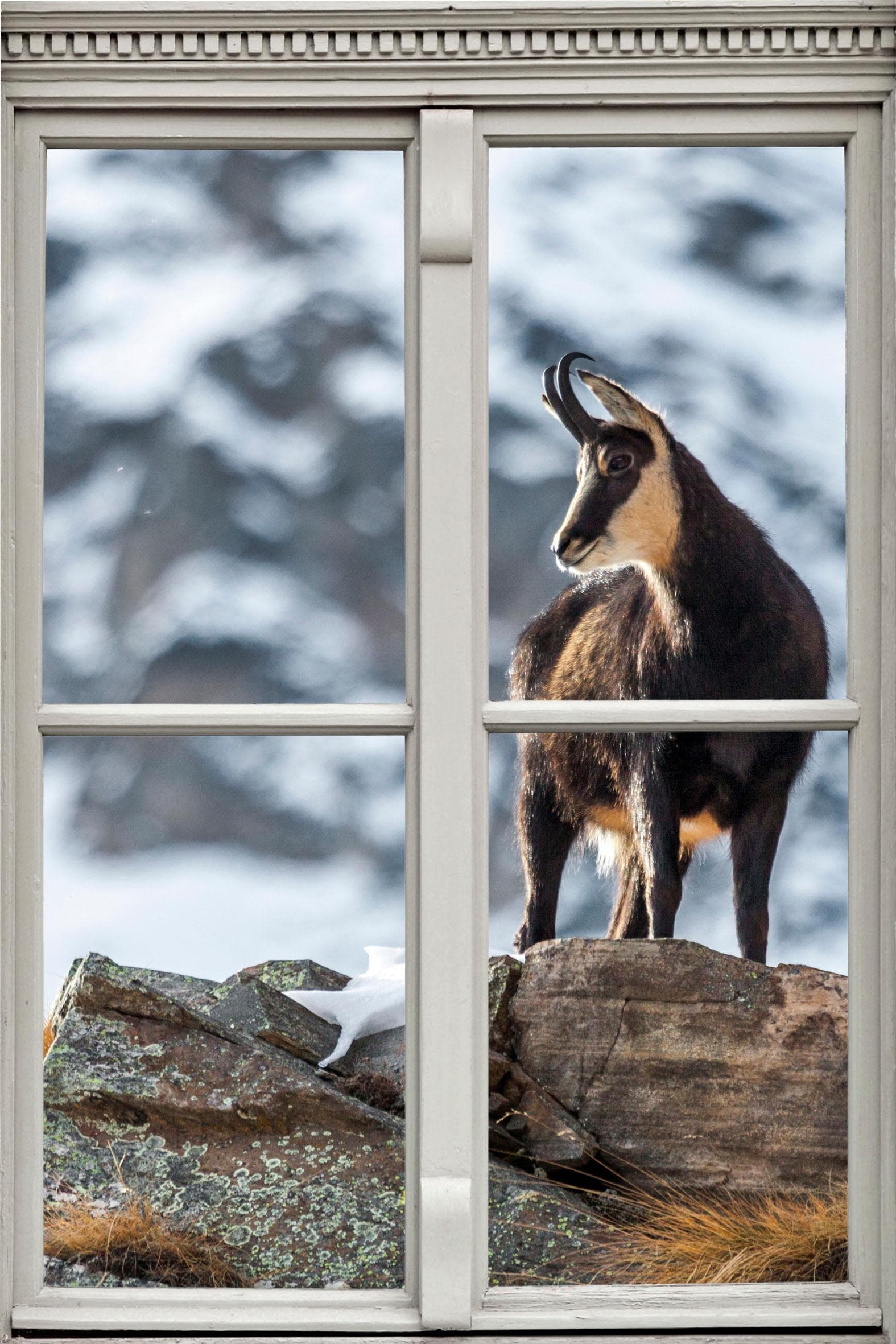 Wandsticker QUEENCE Steinbock Braun Wandtattoo 3D Fenster