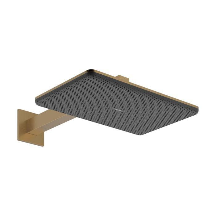 Hansgrohe Raindance Alive Q Duschkopf 24550140 2 Strahlarten Brushed Bronze