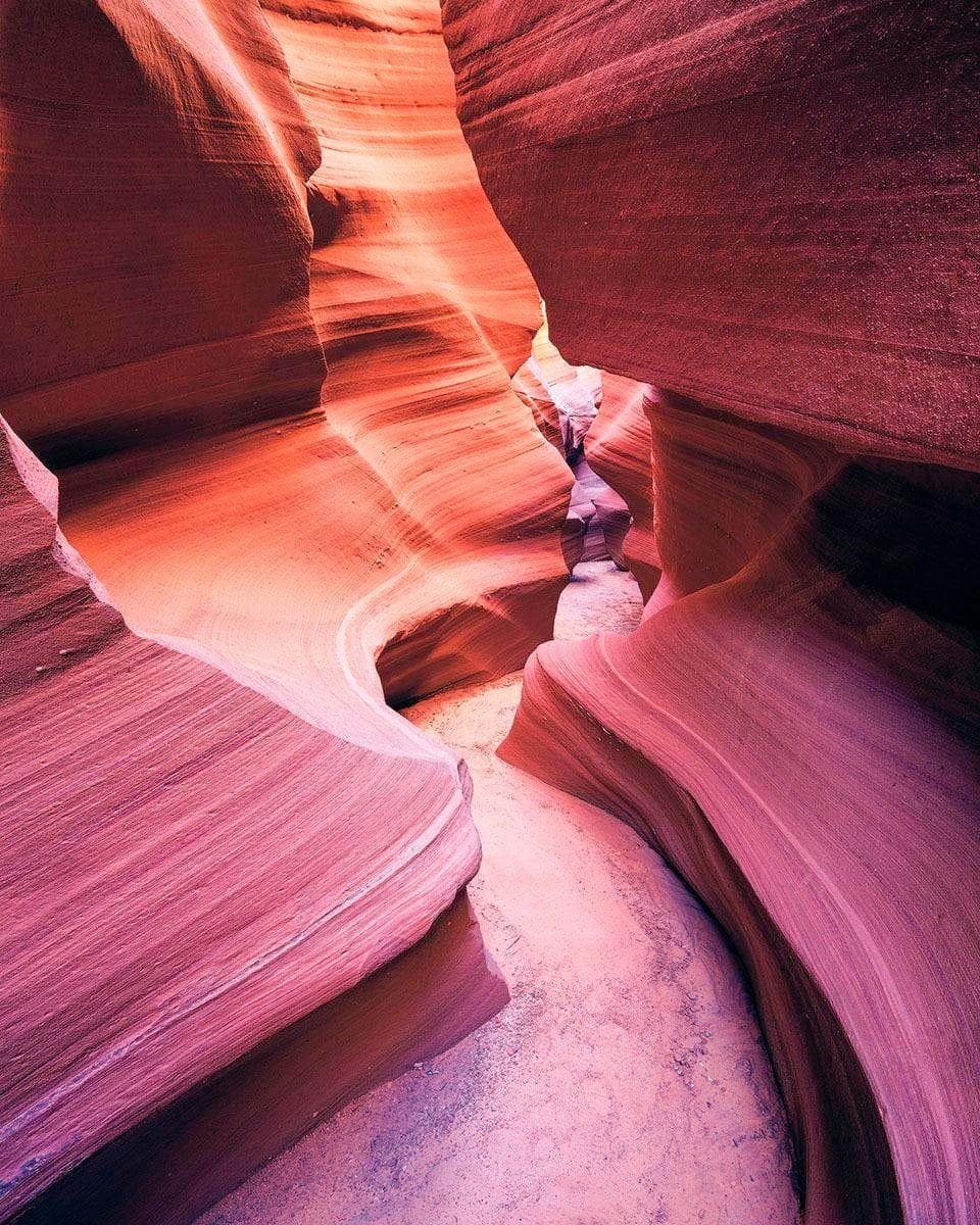 Vliestapete KOMAR Lost in Color Grün Naturmotiv 200x250 cm