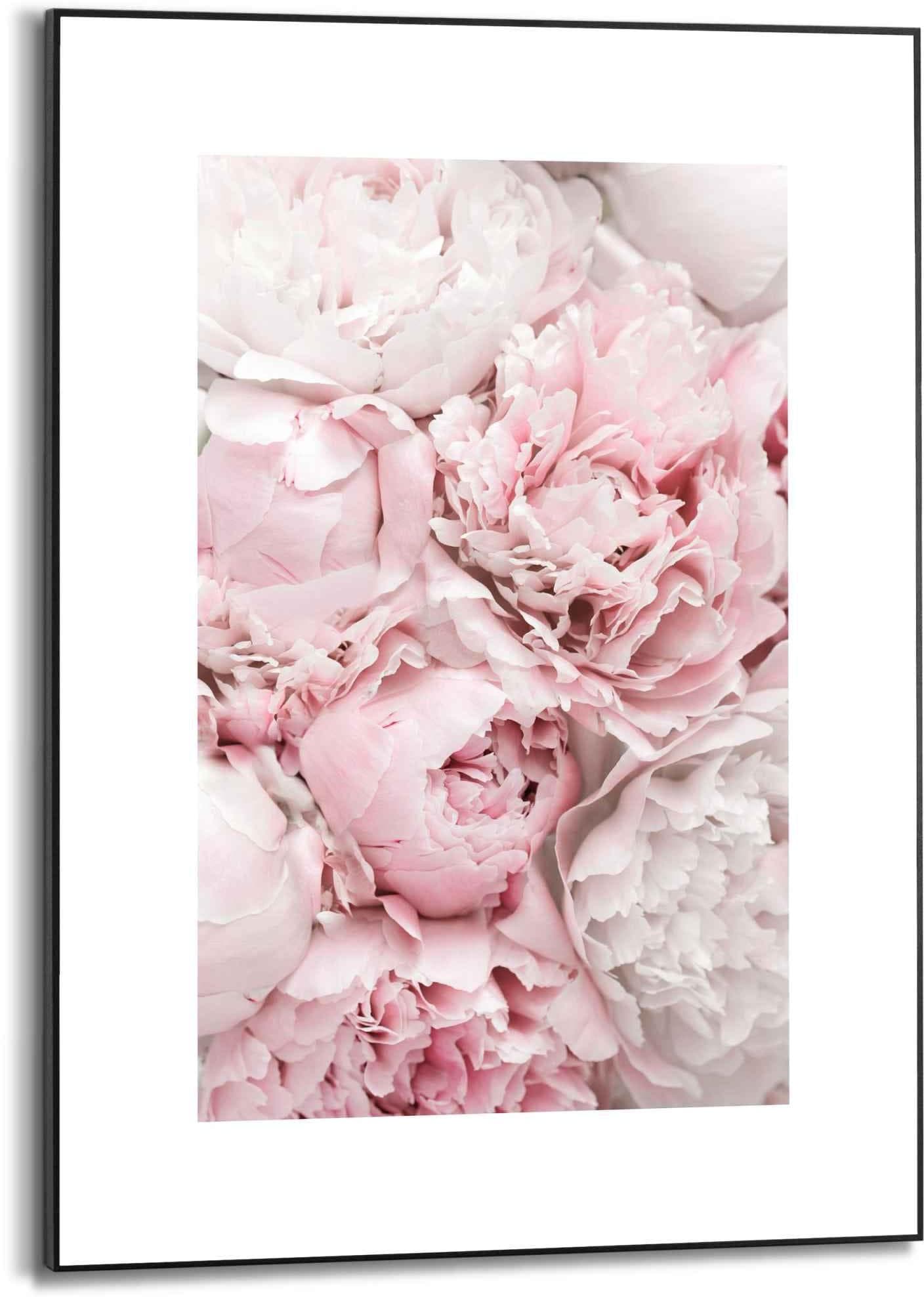 Reinders Gerahmtes Bild Pfingstrosen Rosa MDF Wanddekoration