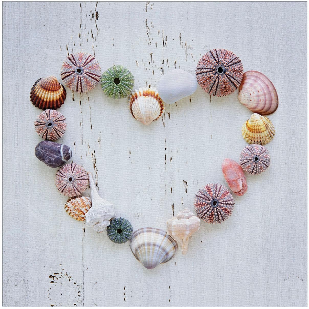 Art for the Home Leinwandbild Muschelherz 50x50cm Weiß