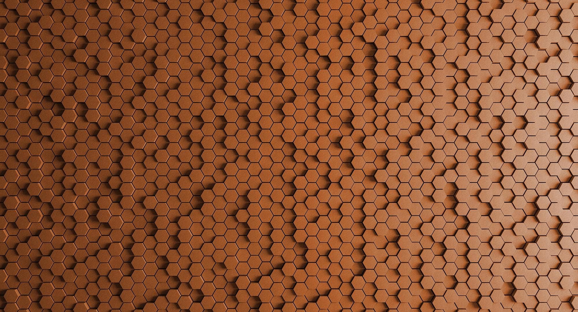 Fototapete Vlies Rosa Orange 500x270 cm