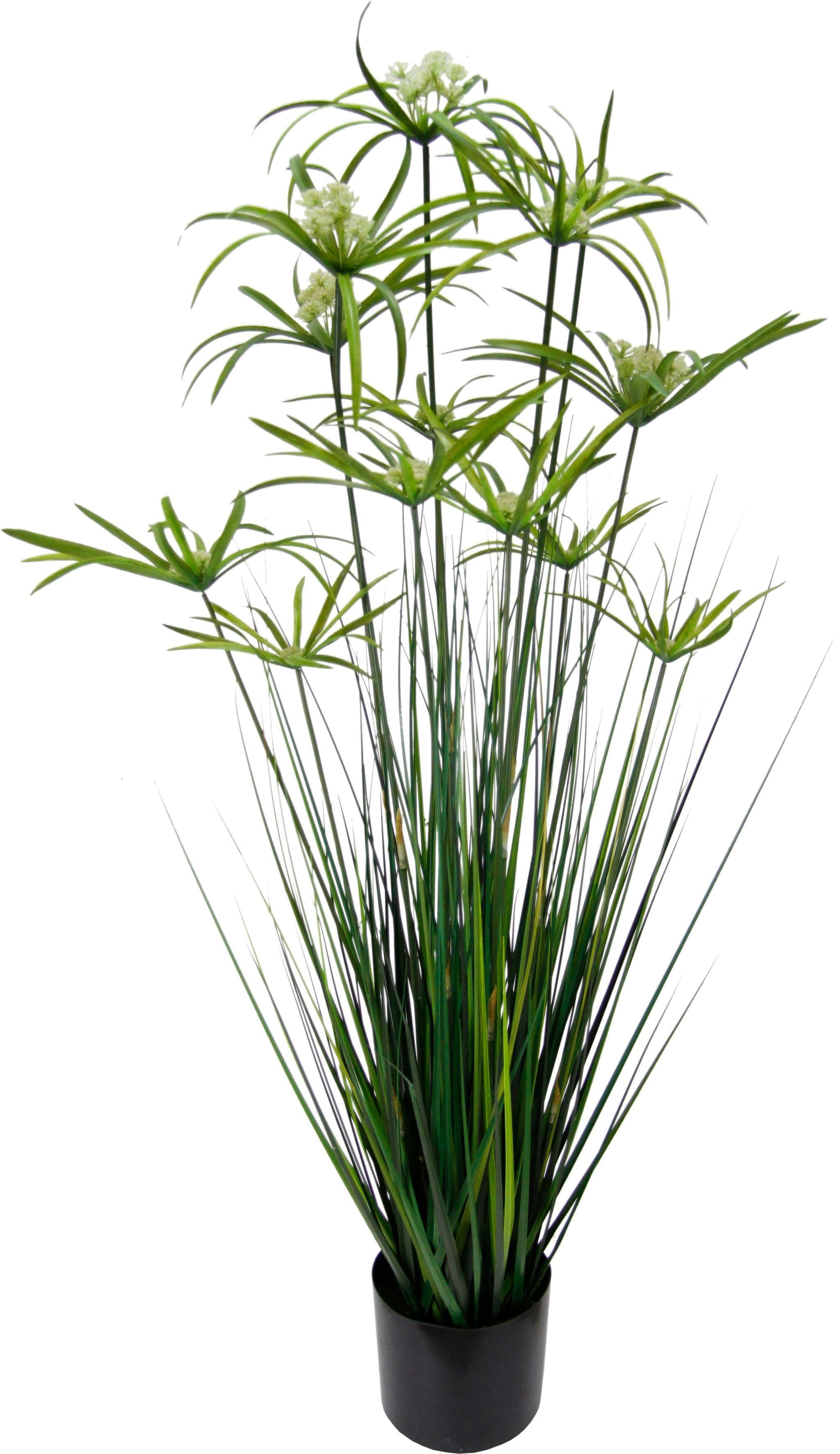 Kunstpflanze Zyperngras im Topf von I.GE.A. - Detailgetreu & Dekorativ