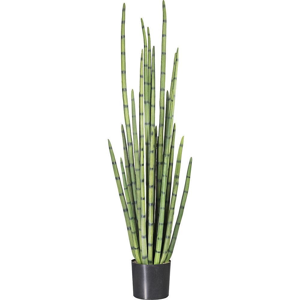 Kaiserkraft Sansevieria cylindrica Kunstpflanze Grün Schwarz Topf