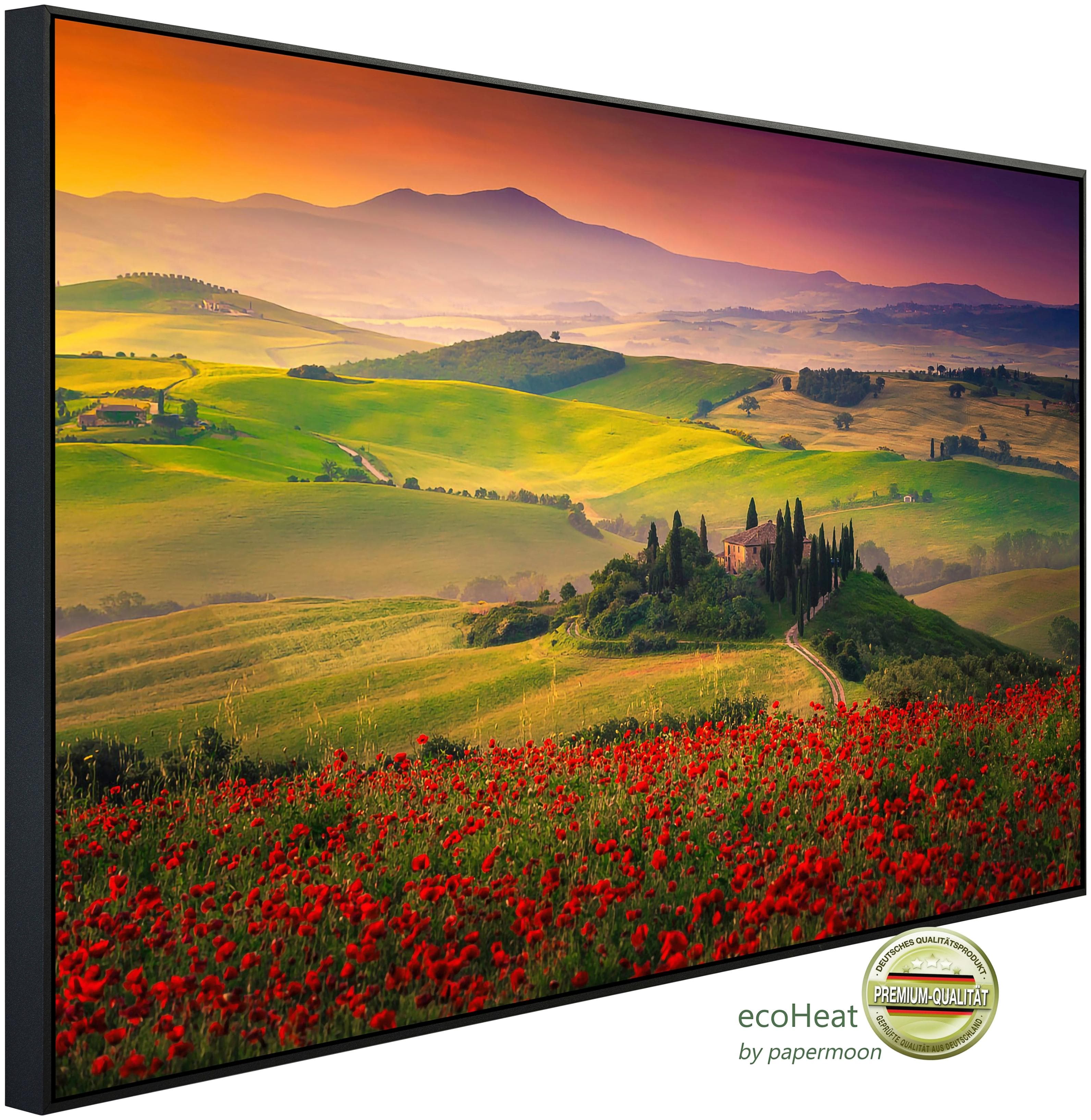 PAPERMOON Infrarotheizung Blumenwiese in Landschaft Kunstmotiv Aluminiumrahmen 600 W