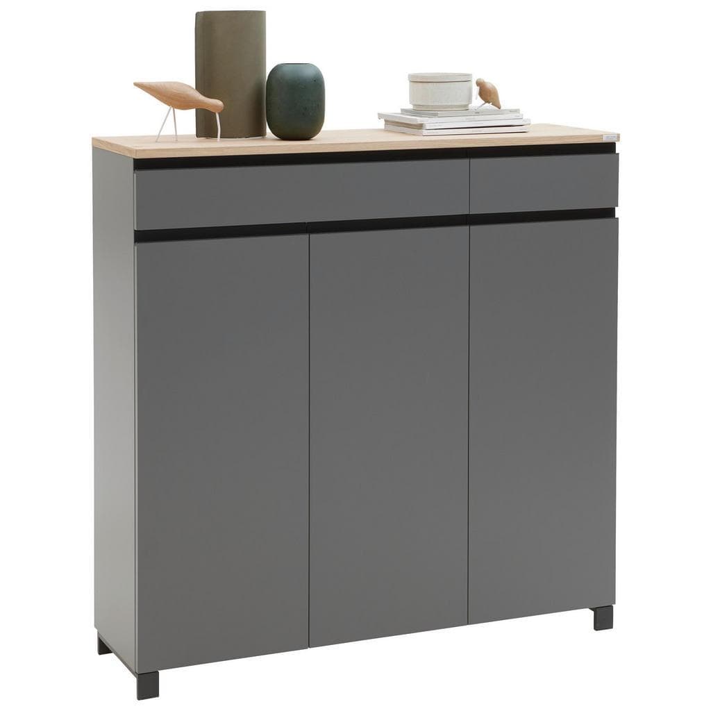 Dieter Knoll Schuhschrank Grau mit Balkeneiche furniert
