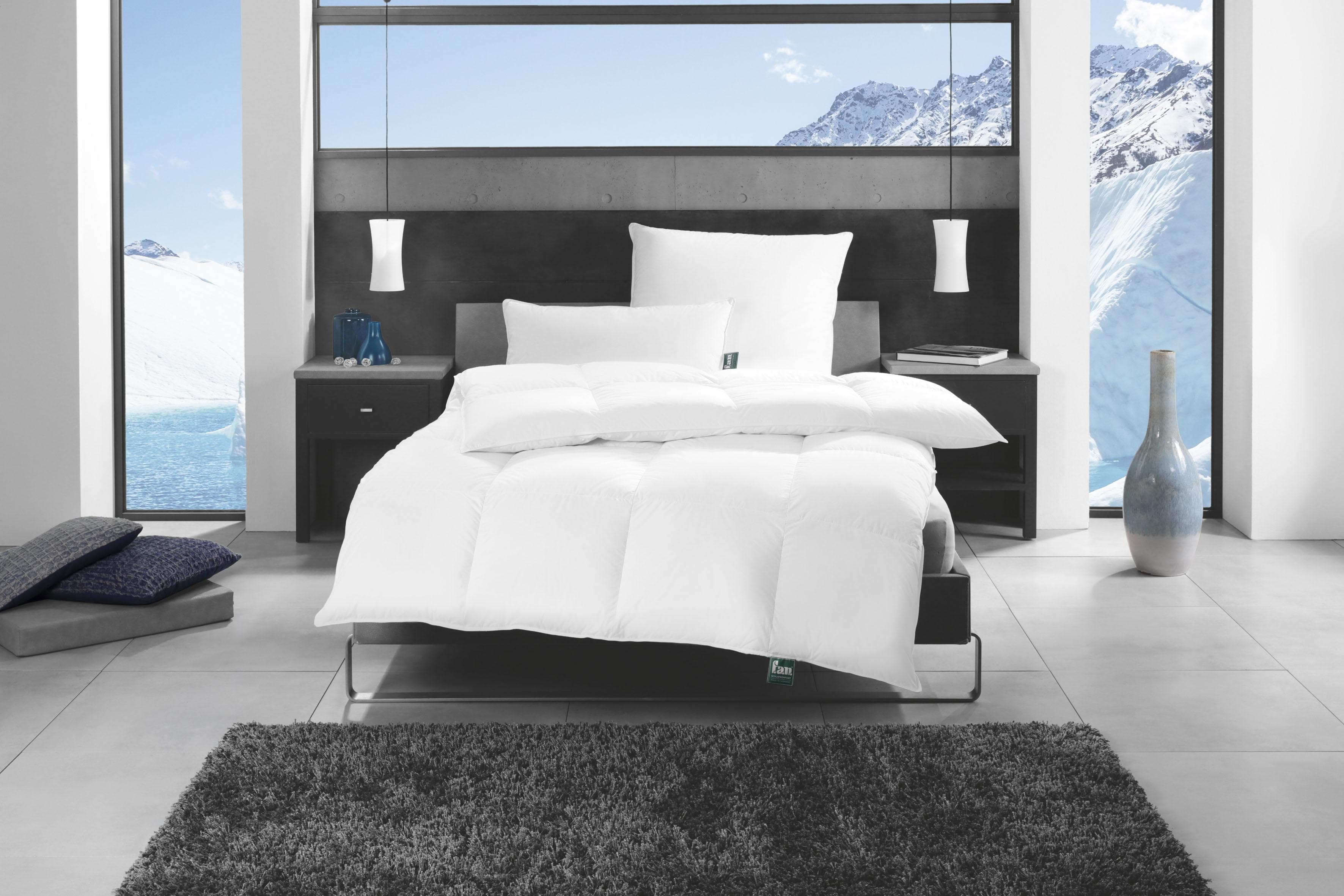 f.a.n. Alaska Gänsefederkopfkissen für Rückenschläfer & Seitenschläfer