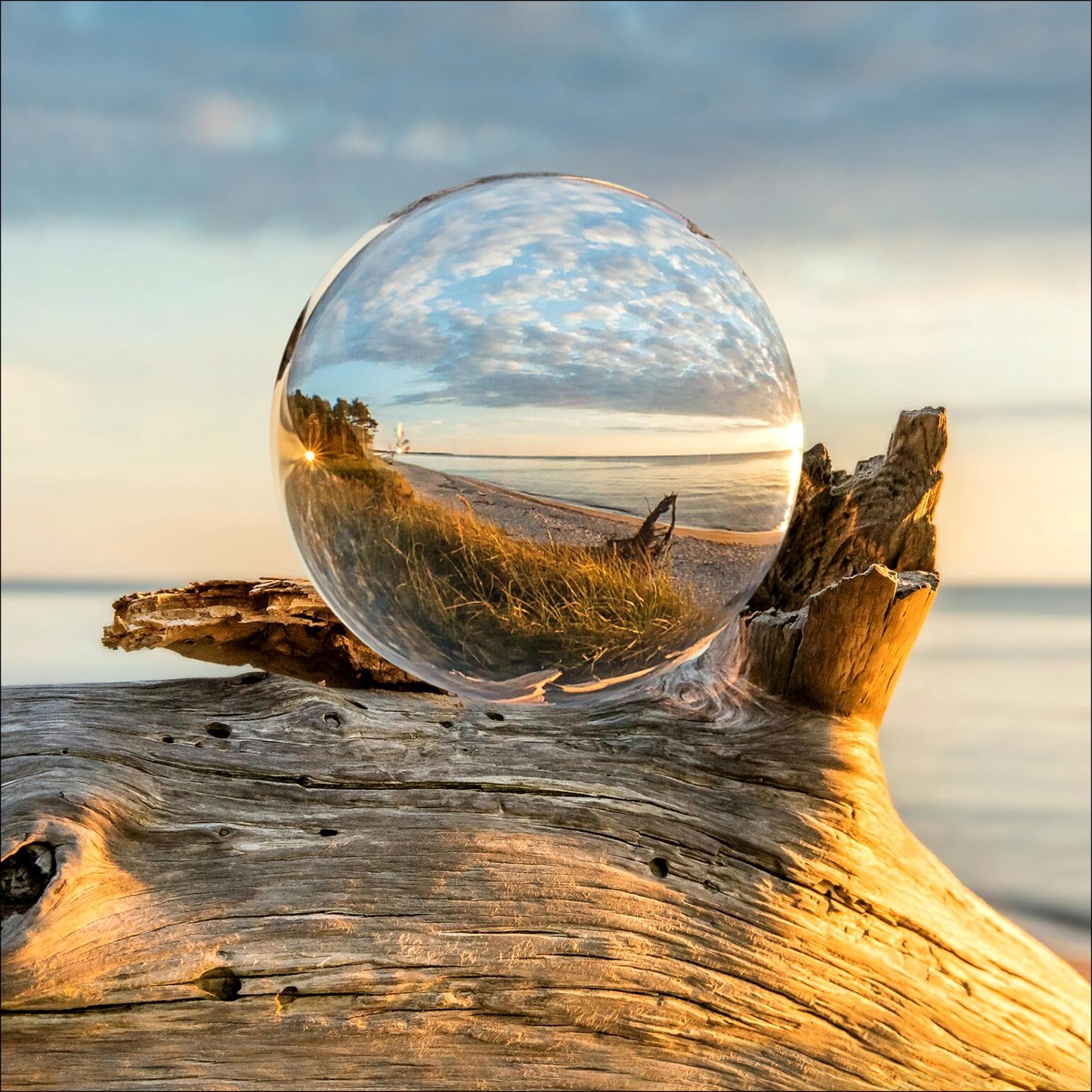 Glasbild DROP ON WOOD Mehrfarbig